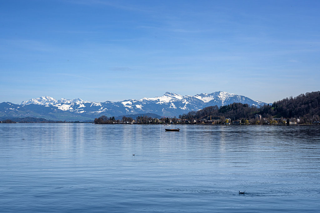 Blick über den Zürichsee