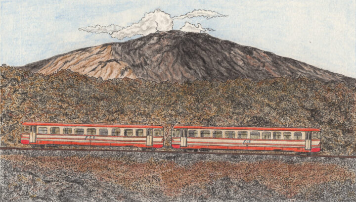 Eine Fahrt durch die Vegetationen