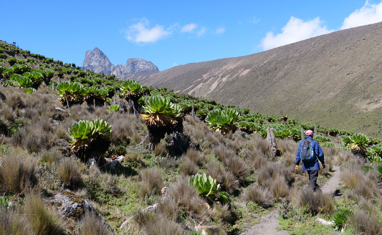 Mount Kenya Tour